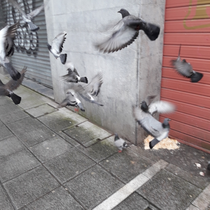 3462de37-c7bc-4f18-be4d-075f2cf679b3.jpeg